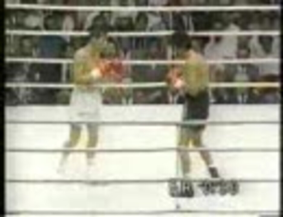 辰吉丈一郎 VS ラバナレス スタッフジャンバー ボクシング | red 