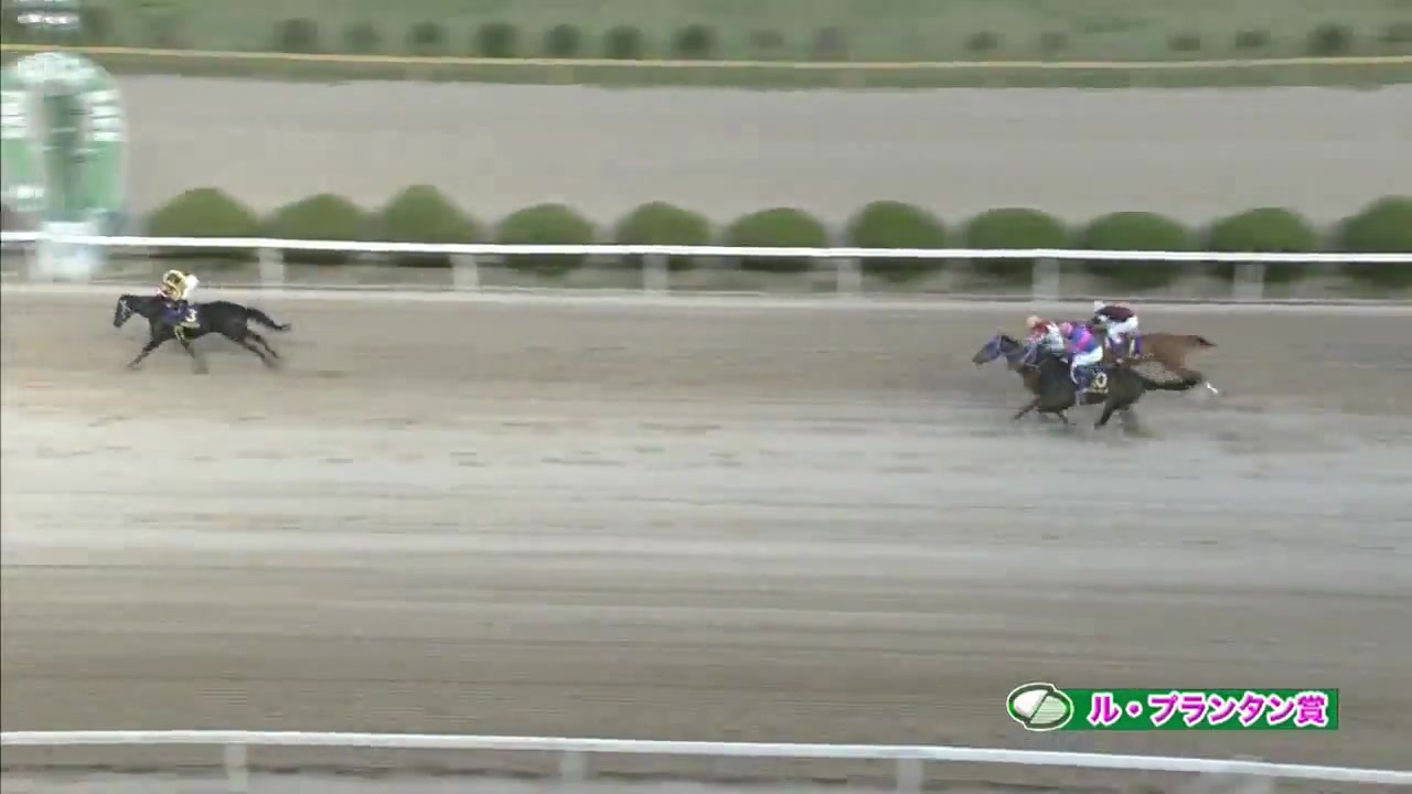 人気の トーセンブライト産駒 動画 11本 ニコニコ動画