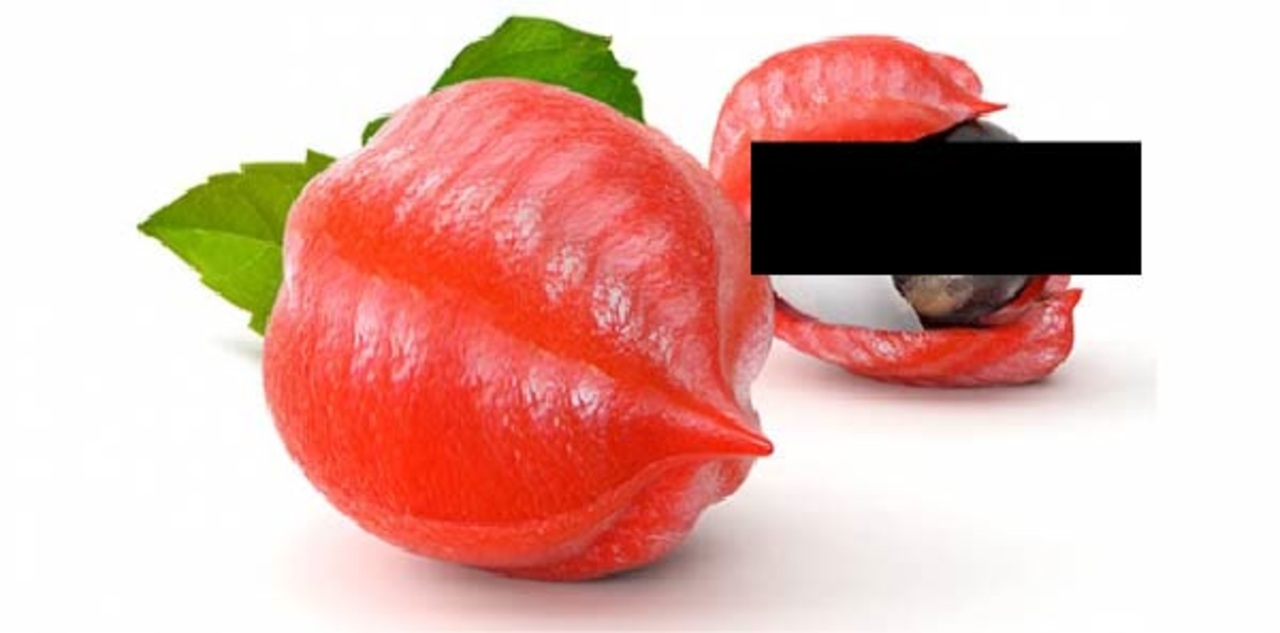 閲覧注意 検索してはいけない言葉 を調べてみた２４語 実況 ニコニコ動画