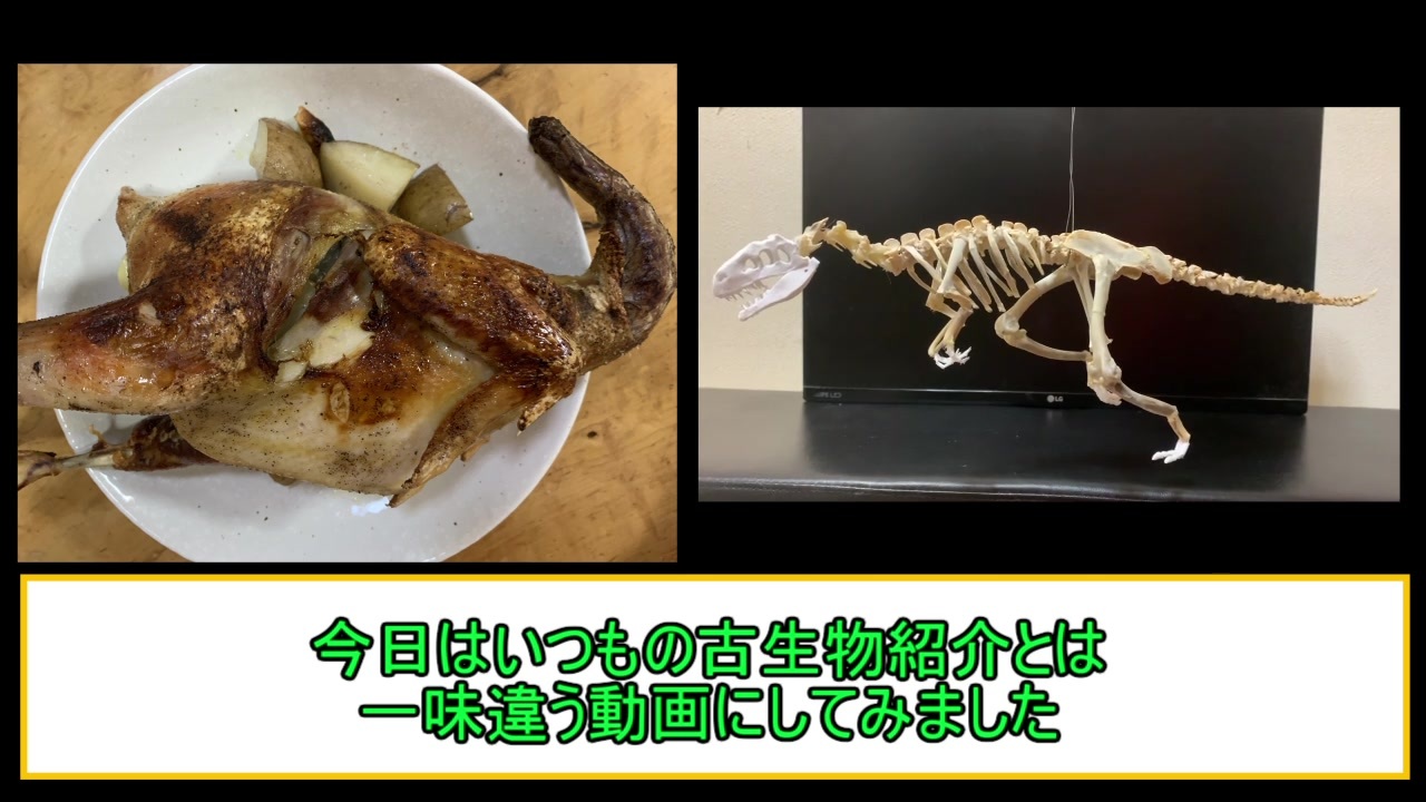 ゆっくり解説 チキンの骨で恐竜骨格作ってみた ニコニコ動画