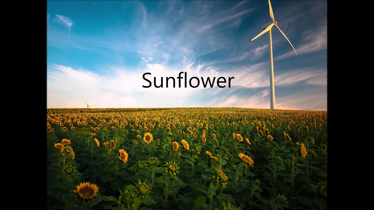 Sunflower／Orangestar【IA Cover】 ニコニコ動画