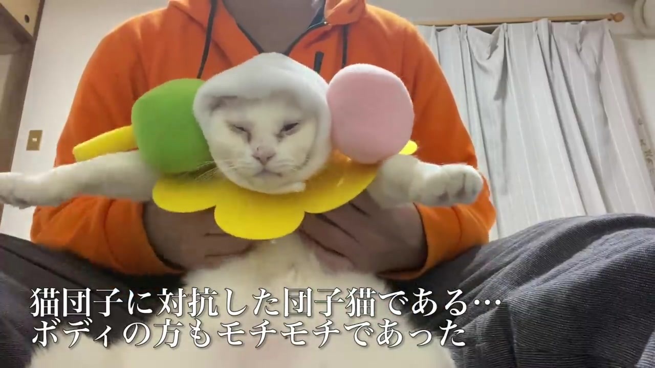 人気の 動物 ねこかます もふり手 動画 1 430本 9 ニコニコ動画