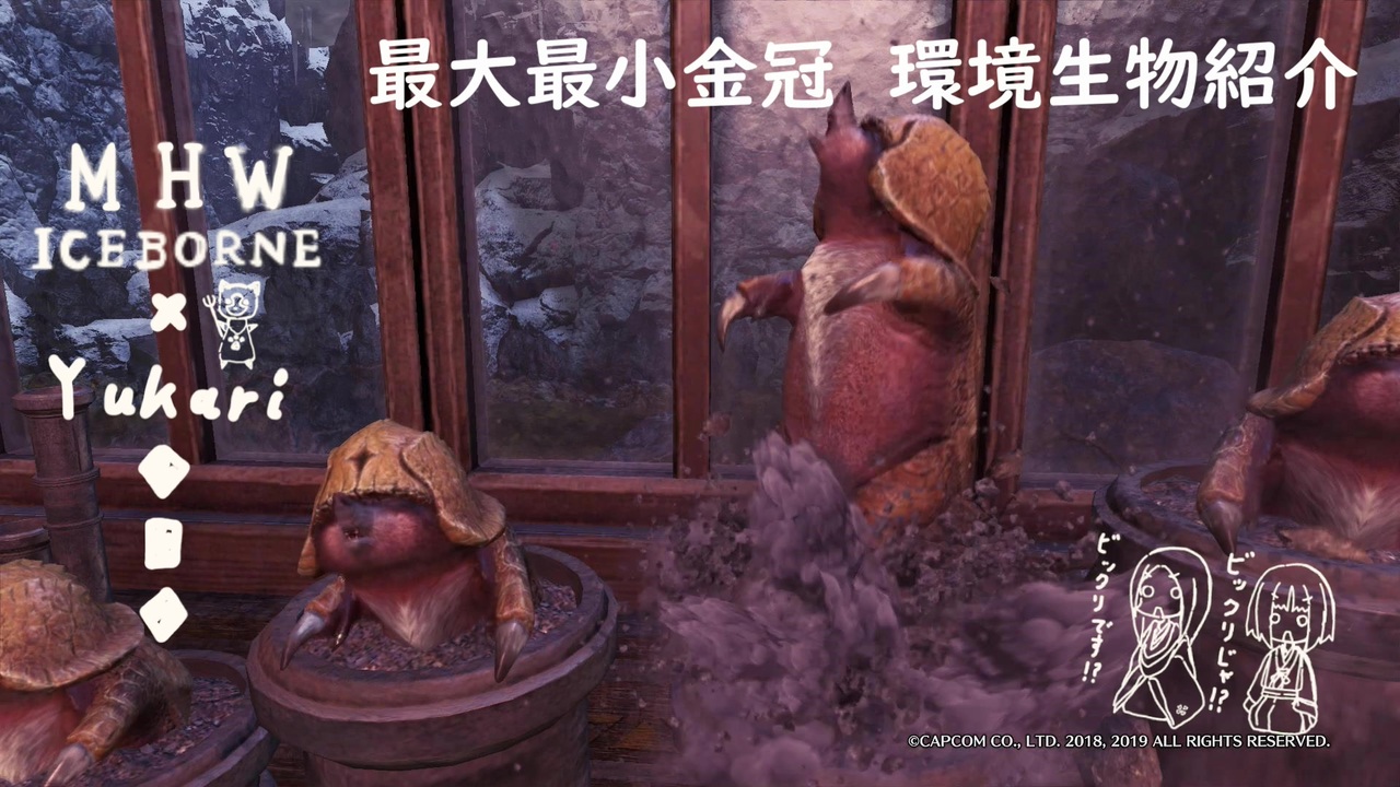 人気の 環境生物 動画 121本 ニコニコ動画