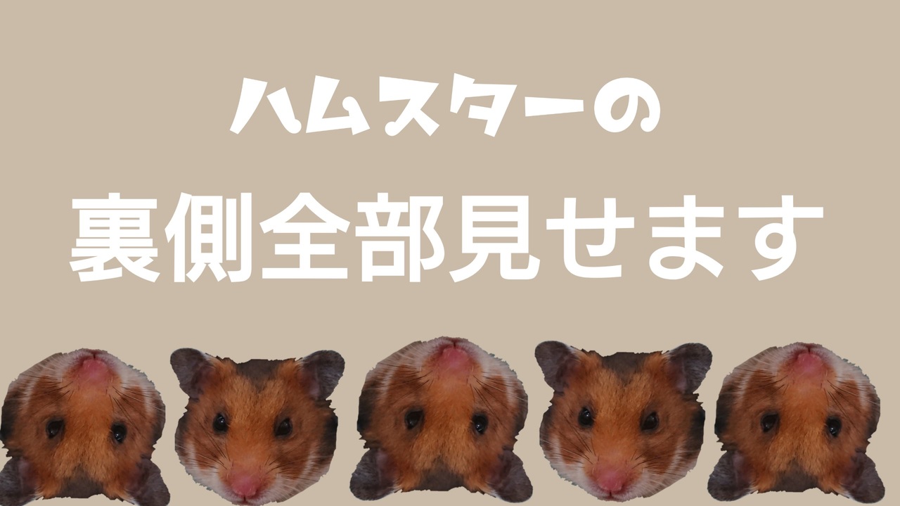 人気の はむけつ 動画 70本 ニコニコ動画