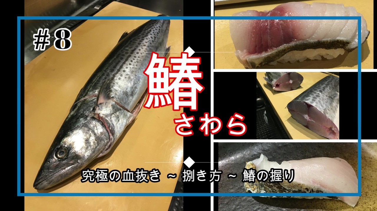 鰆 Sawara の捌き方 寿司まで 熟成1週間の鰆 津本式究極の血抜き ニコニコ動画