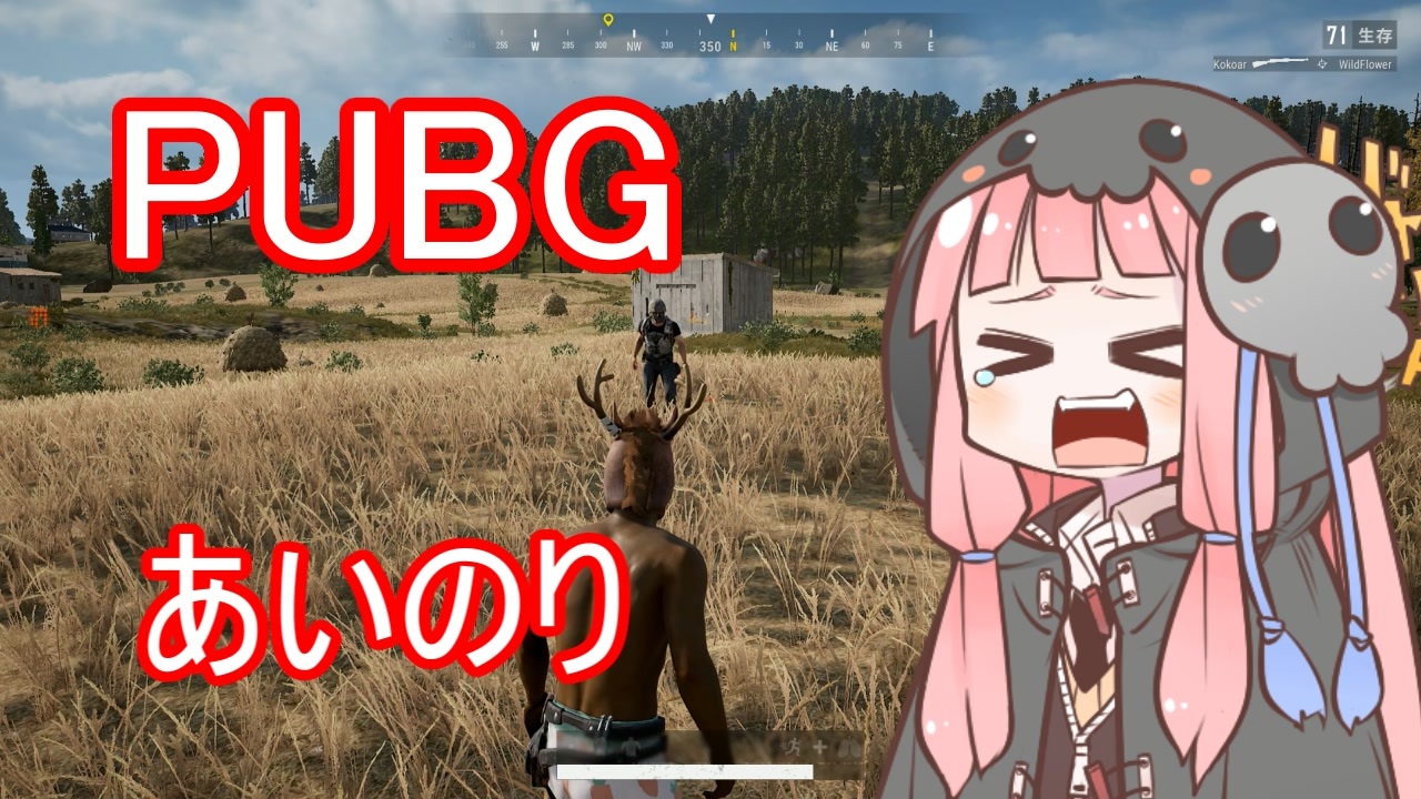 Pubg 死神茜ちゃんはあいのりしたい37 リネーム ニコニコ動画