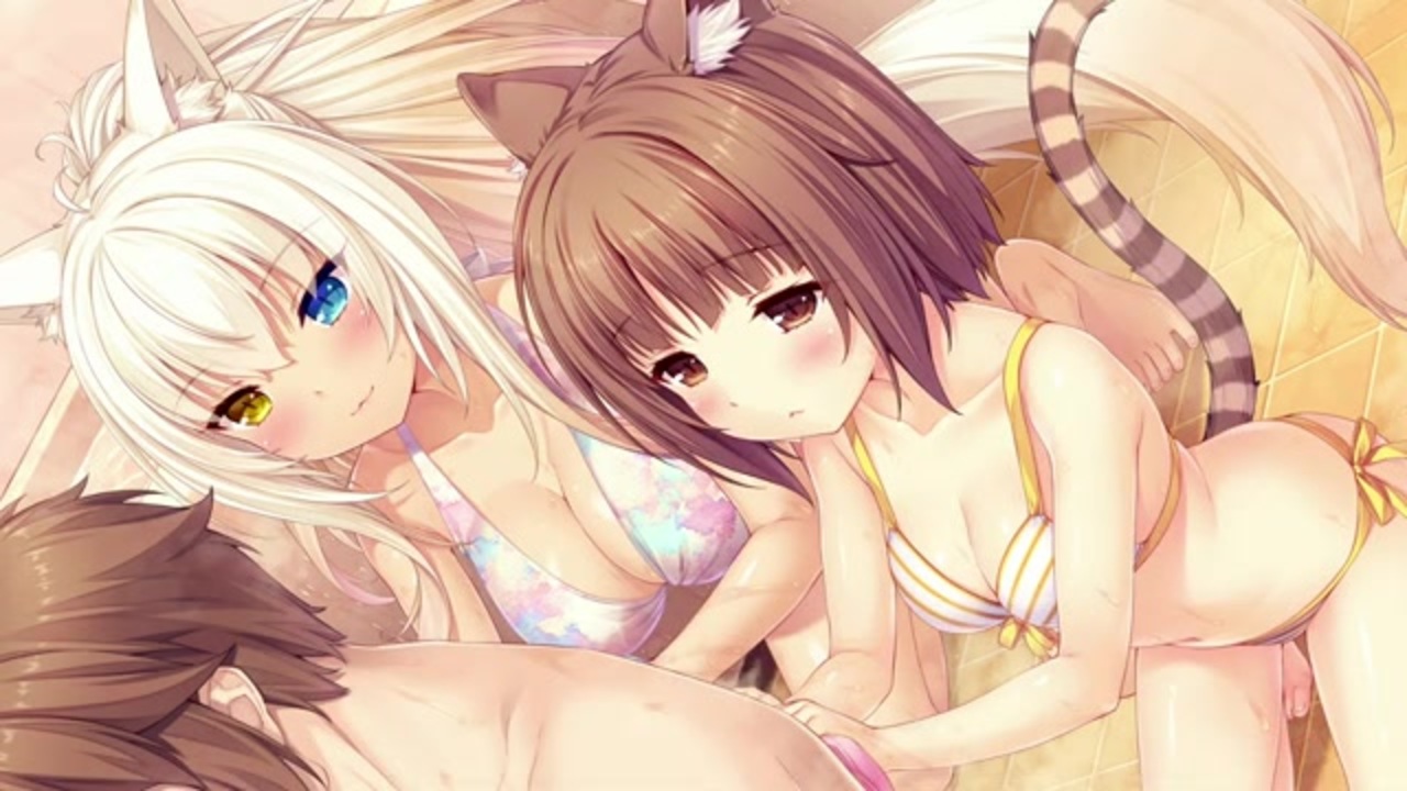 ネコぱら 神回 アズキちゃん ココナツちゃんの御奉仕 実況プレイ 23 ニコニコ動画