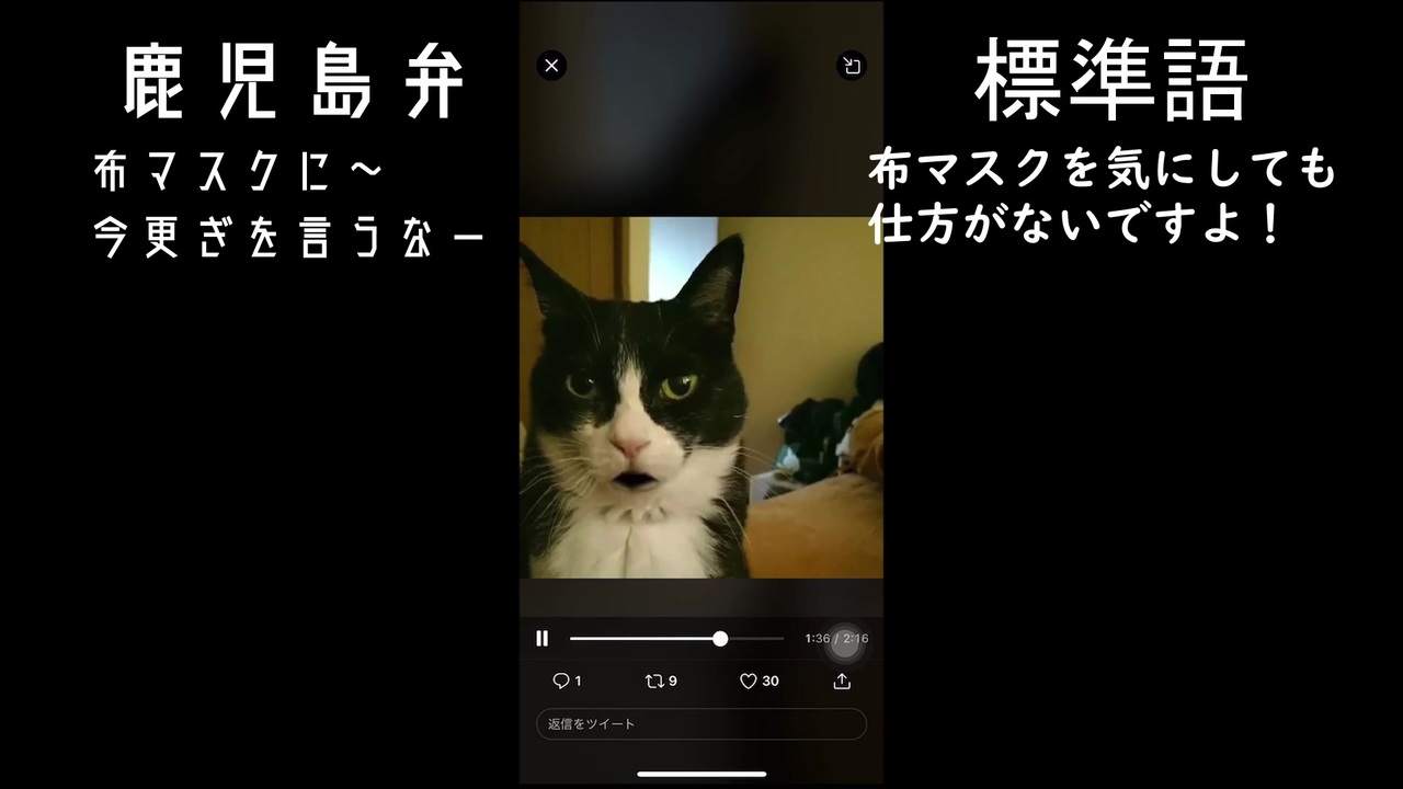 その２ 鹿児島弁猫ネキが新型コロナの注意喚起 最新 ニコニコ動画