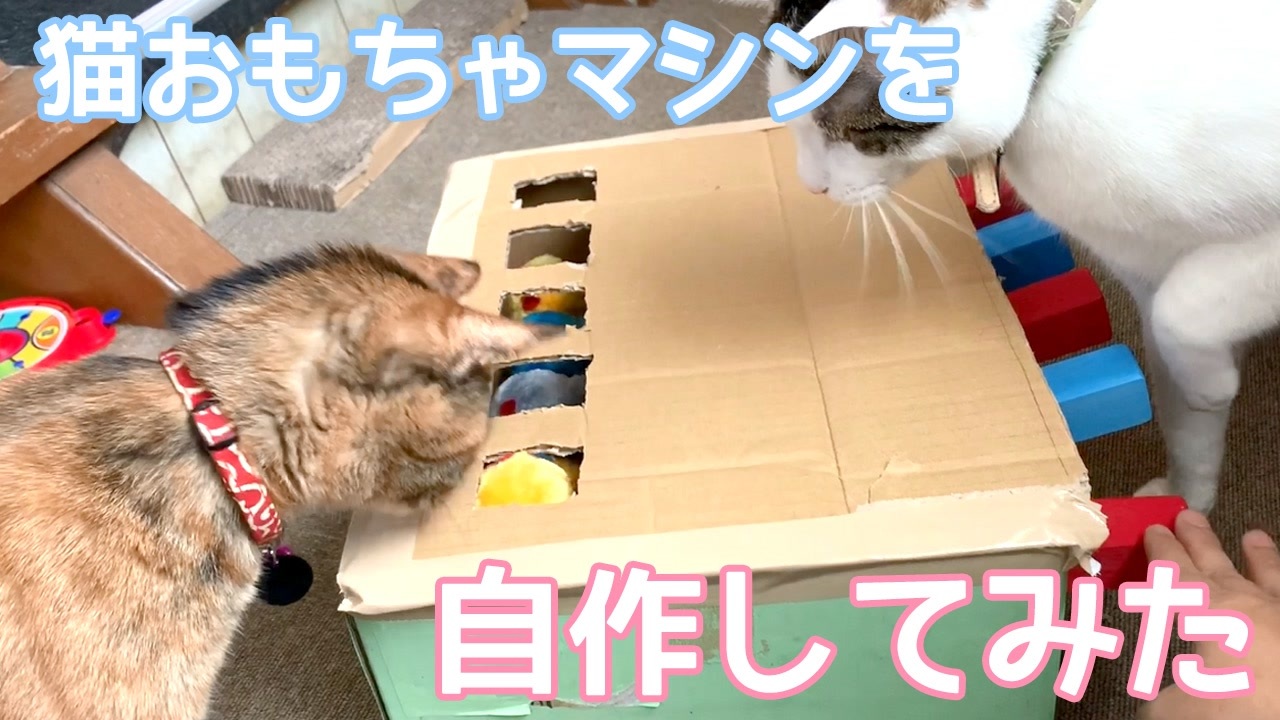 人気の 猫のおもちゃ 動画 17本 ニコニコ動画