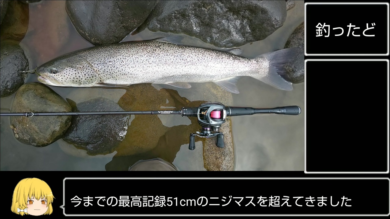 人気の 幻の魚 動画 5本 ニコニコ動画