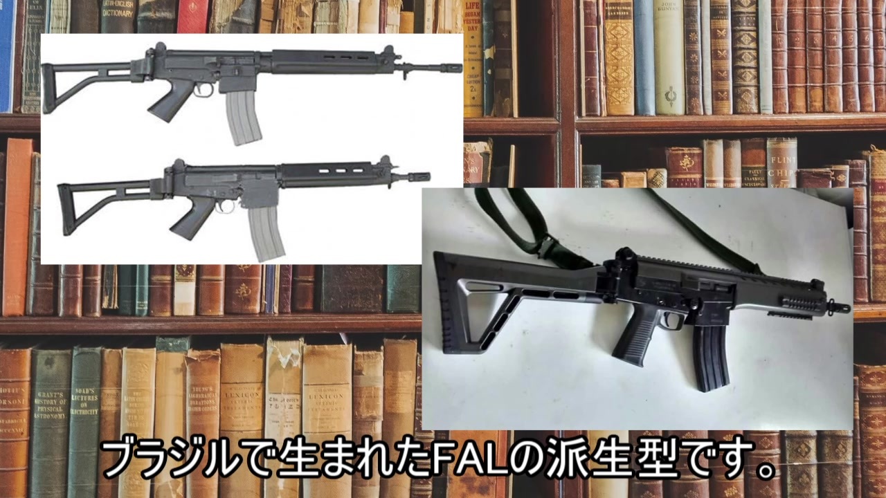 人気の Fn Fal 動画 10本 ニコニコ動画