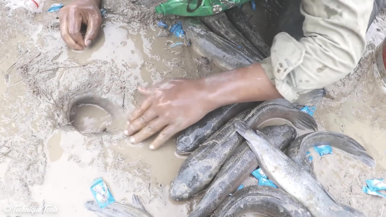タイの漁業 ニコニコ動画