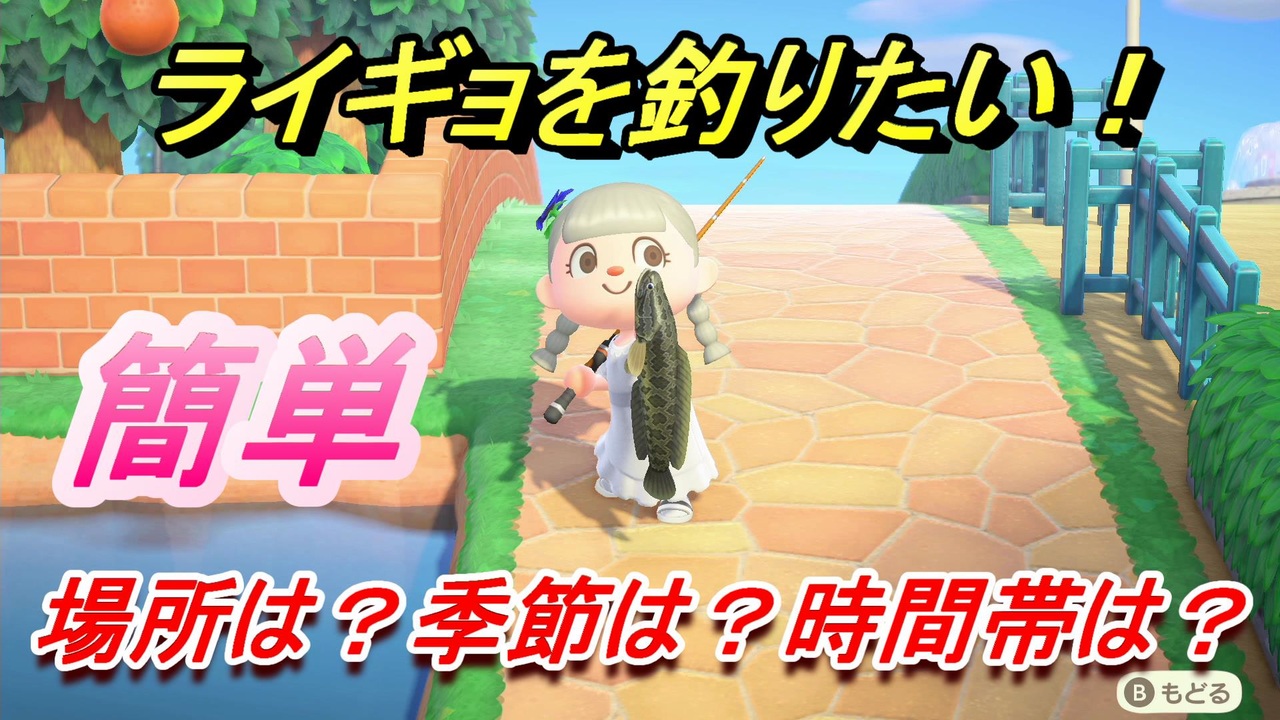 あつまれどうぶつの森 ライギョの釣り方 場所は 季節は 時間帯は 魚図鑑コンプへの道 釣り攻略 あつ森 ニコニコ動画