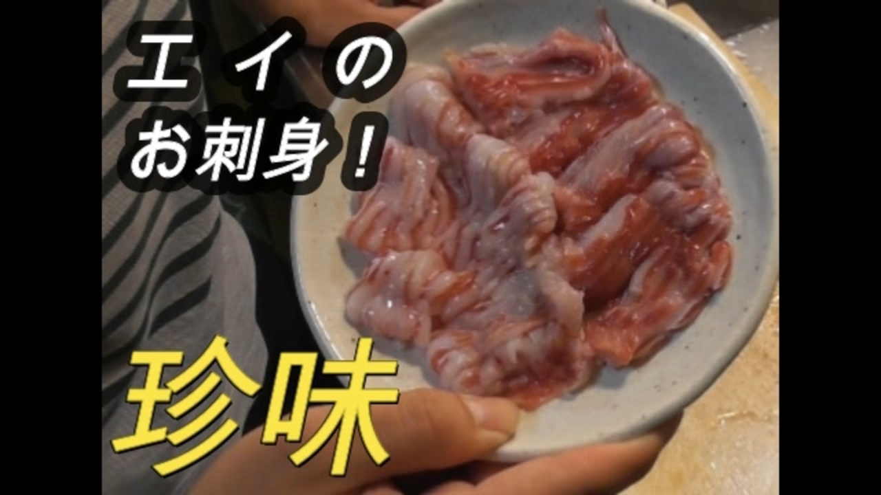 釣れたエイを刺身で食べてみた ニコニコ動画