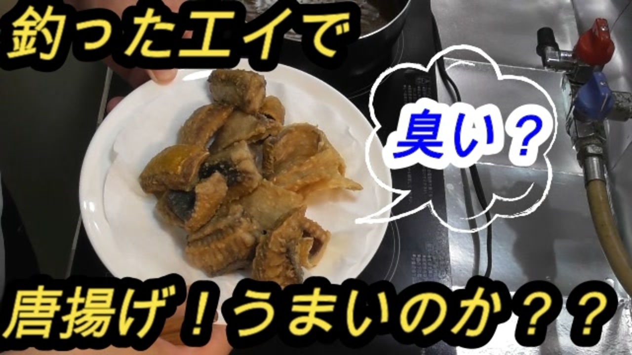 釣ったエイを唐揚げで食ってみた ニコニコ動画