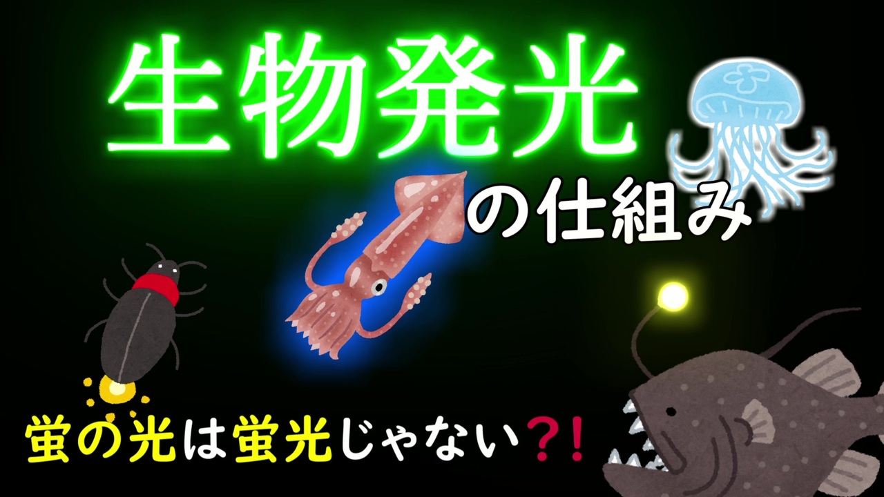 バイオlab 4 生物発光の仕組み 蛍はなぜ光る ゆっくり解説 ニコニコ動画