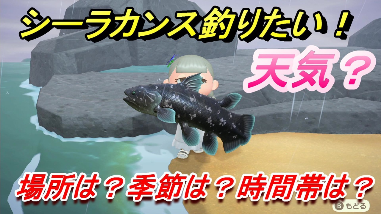 あつまれどうぶつの森 シーラカンスが釣れる条件とは 場所は 季節は 時間帯は 魚図鑑コンプへの道 釣り攻略 あつ森 ニコニコ動画