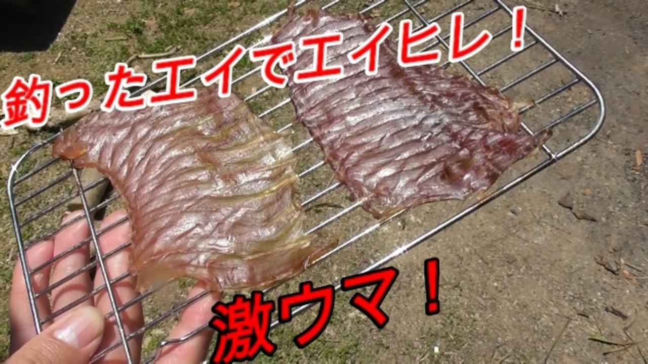 人気の エイヒレ 動画 31本 ニコニコ動画