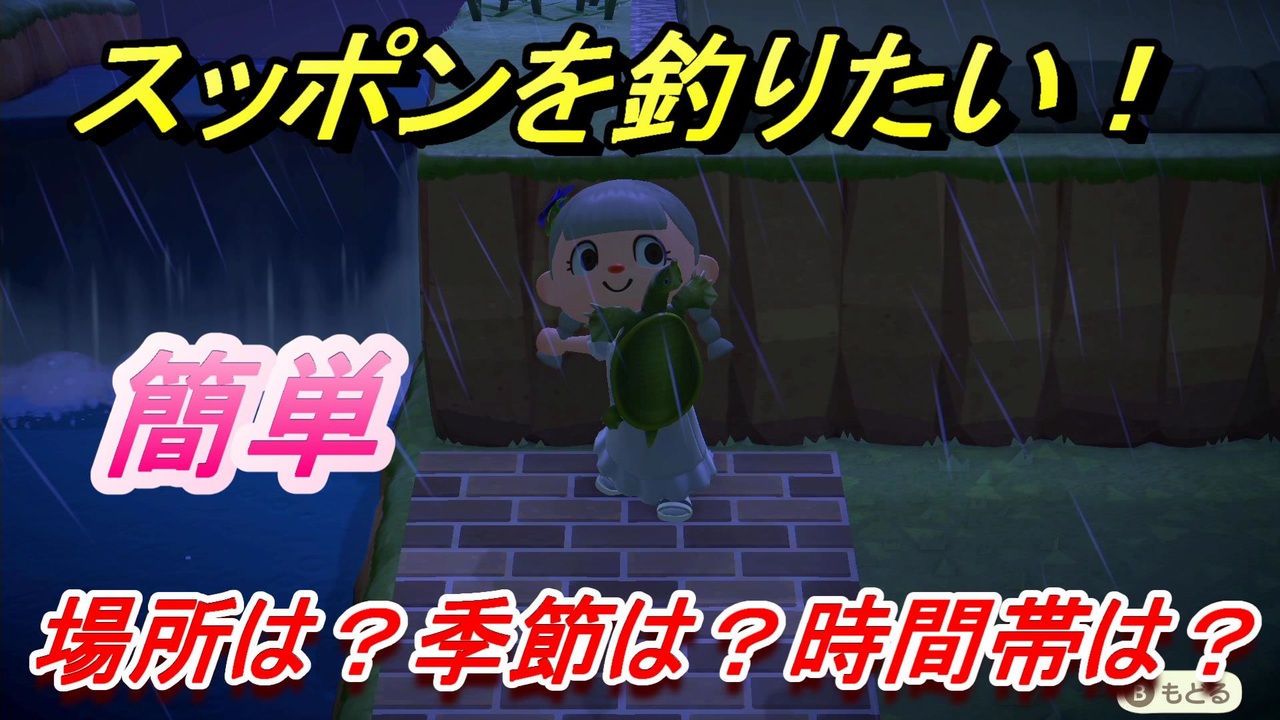 あつまれどうぶつの森 スッポンの釣り方 場所は 季節は 時間帯は 魚図鑑コンプへの道 釣り攻略 あつ森 ニコニコ動画