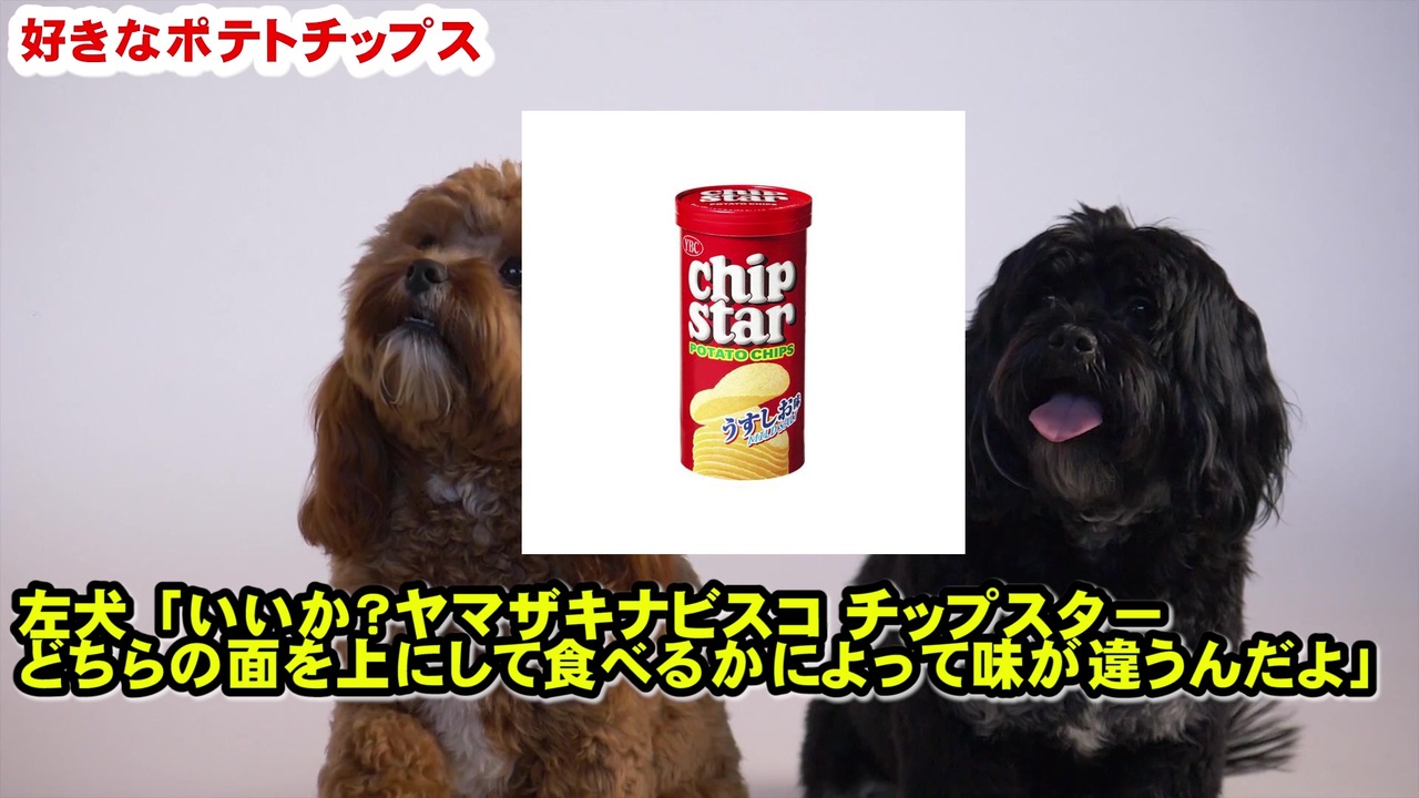 好きなポテトチップスは 犬が言い合う ニコニコ動画