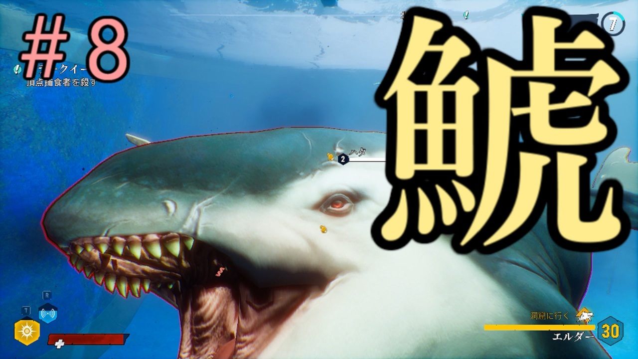 人気の 鮫 動画 321本 6 ニコニコ動画