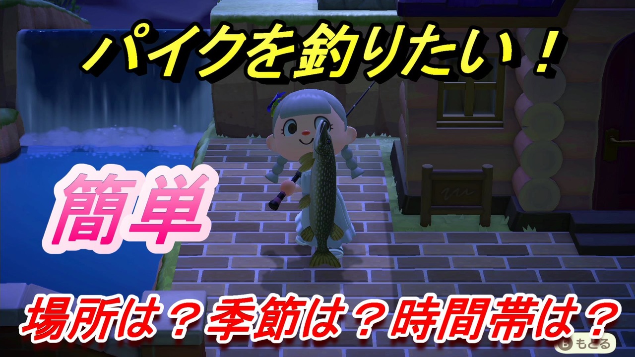 あつまれどうぶつの森 パイクが釣れる条件とは 場所は 季節は 時間帯は 魚図鑑コンプへの道 釣り攻略 あつ森 ニコニコ動画