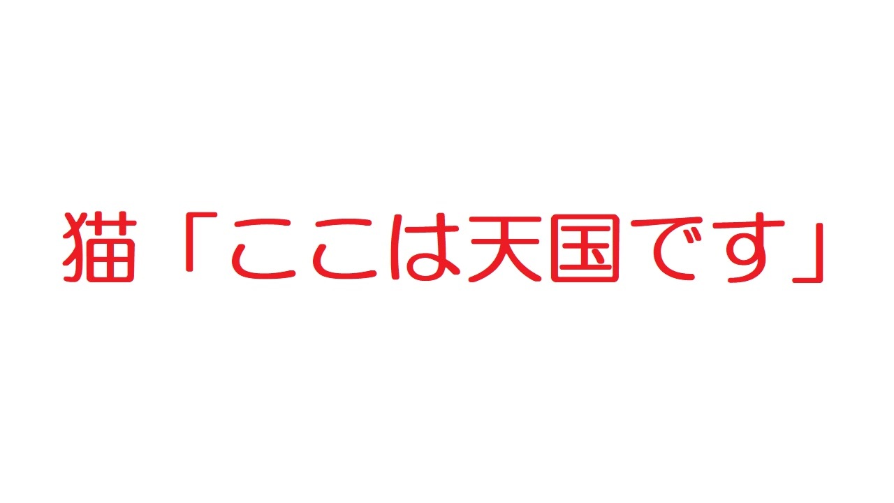 人気の 2ch 猫 動画 28本 ニコニコ動画