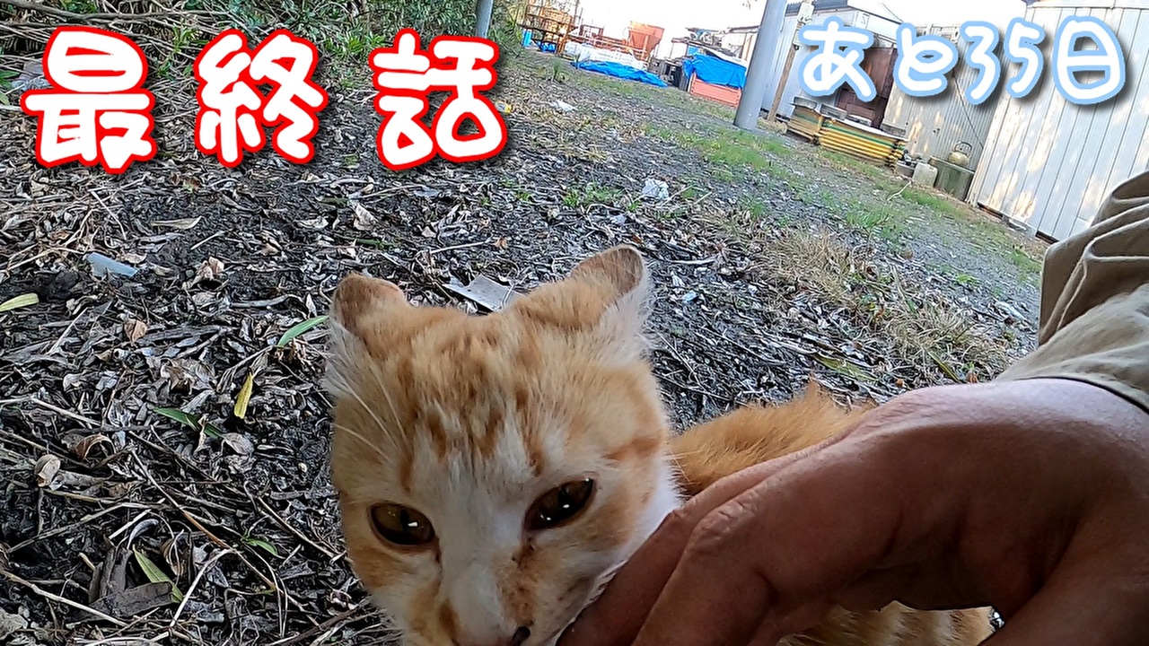 人気の 暇エンターテイメント 動画 本 ニコニコ動画