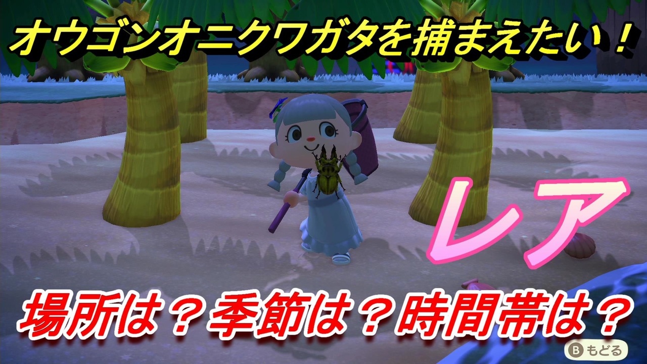 森 クワガタ あつ