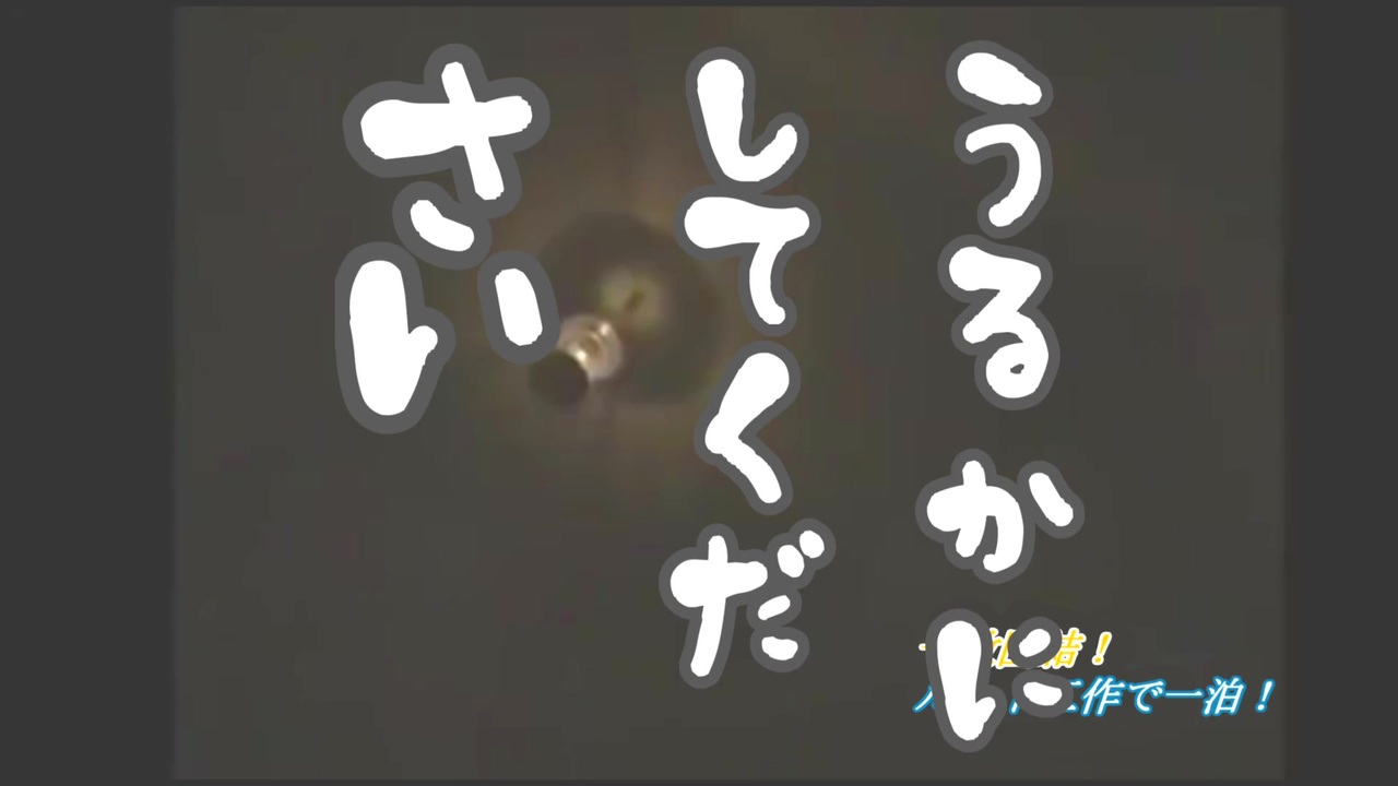 よりもい うるかにしてください のシーンにどうでしょう字幕 ニコニコ動画