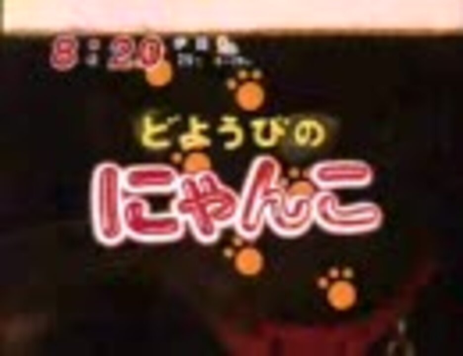 市場の道のど真ん中で眠る猫 ニコニコ動画