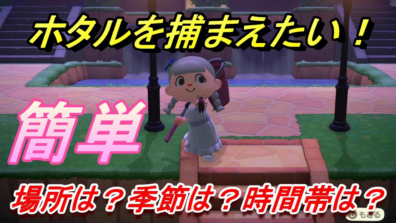 ホウセキ あつ ゾウムシ 森
