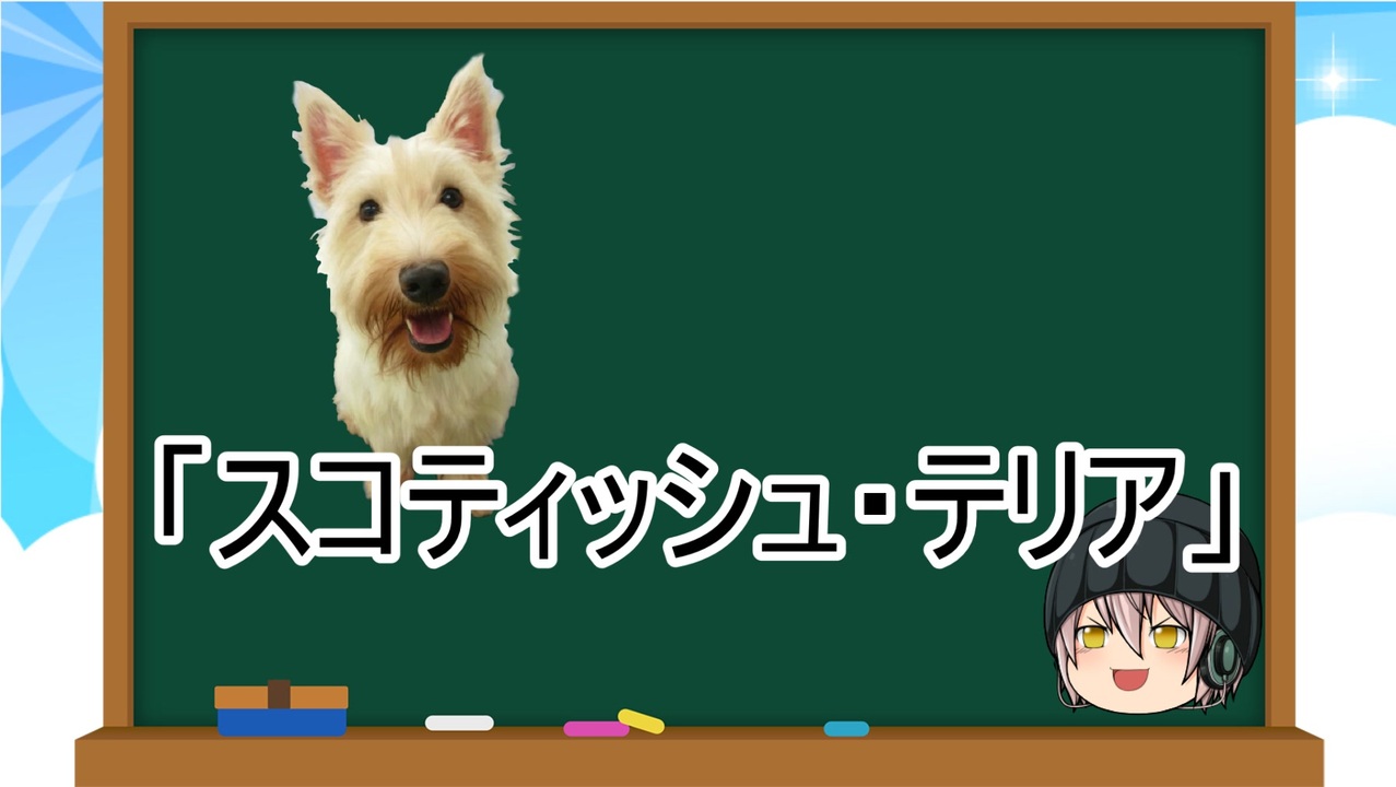 ゆっくり解説 犬種２６ スコティッシュ テリア ニコニコ動画