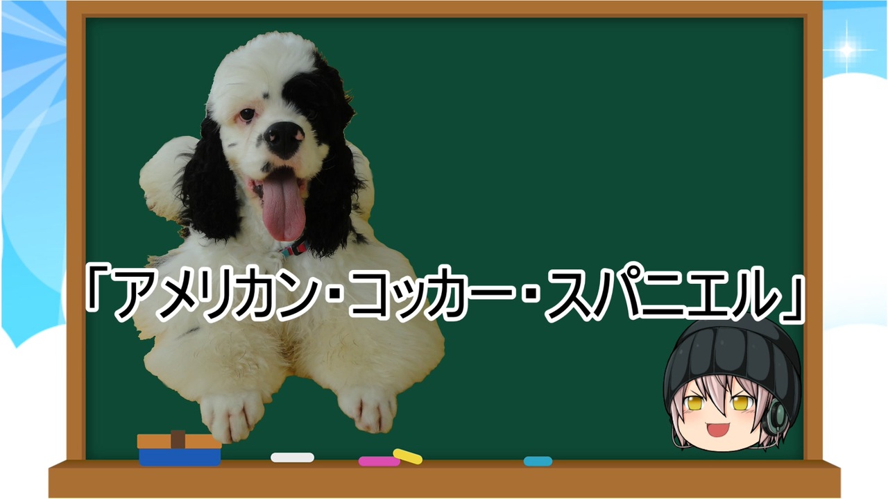 ゆっくり解説 犬種２７ アメリカン コッカー スパニエル ニコニコ動画