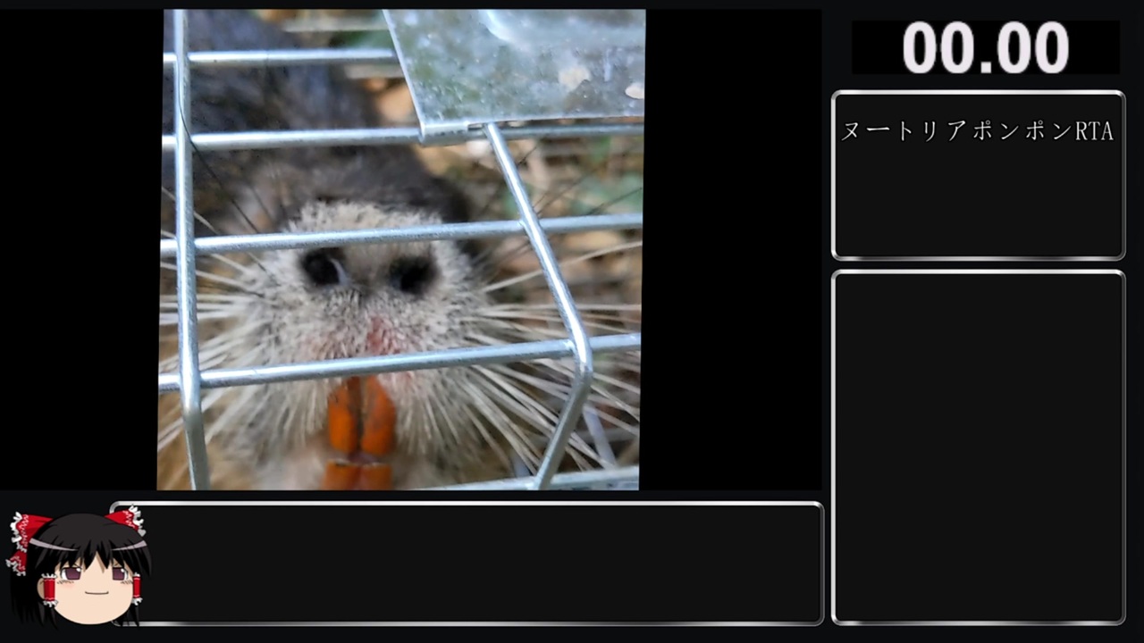 人気の ぬーとりあ 動画 36本 ニコニコ動画