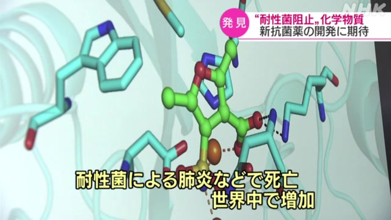薬が効きにくい耐性菌の働き止める化学物質を発見 名古屋大 - ニコニコ動画