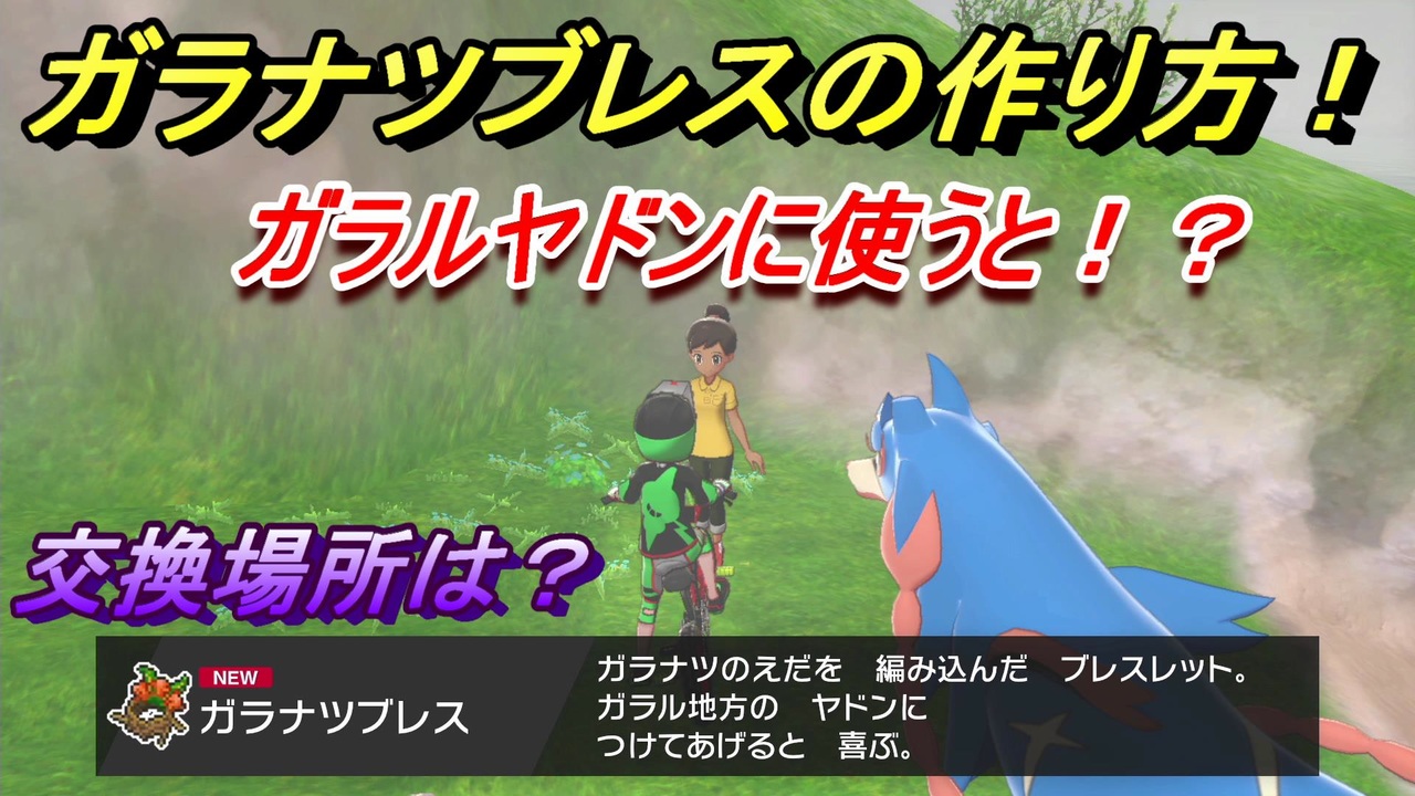 ポケモン剣盾 ガラナツブレスの作り方は ガラナツのえだの使い道 交換場所の行き方は ポケモンソード シールド ニコニコ動画