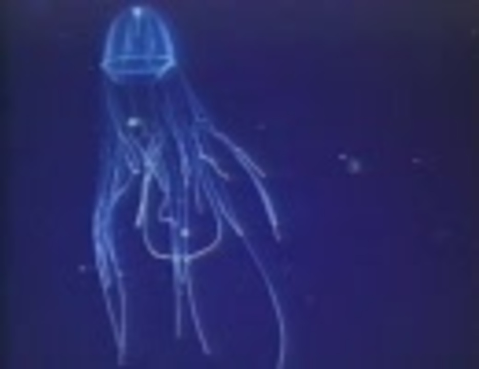 人気の 深海やばい 動画 10本 ニコニコ動画