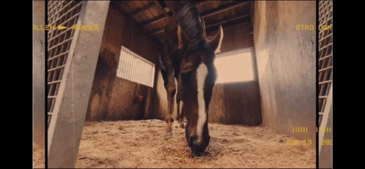 人気の 競馬 競馬 動画 184本 3 ニコニコ動画