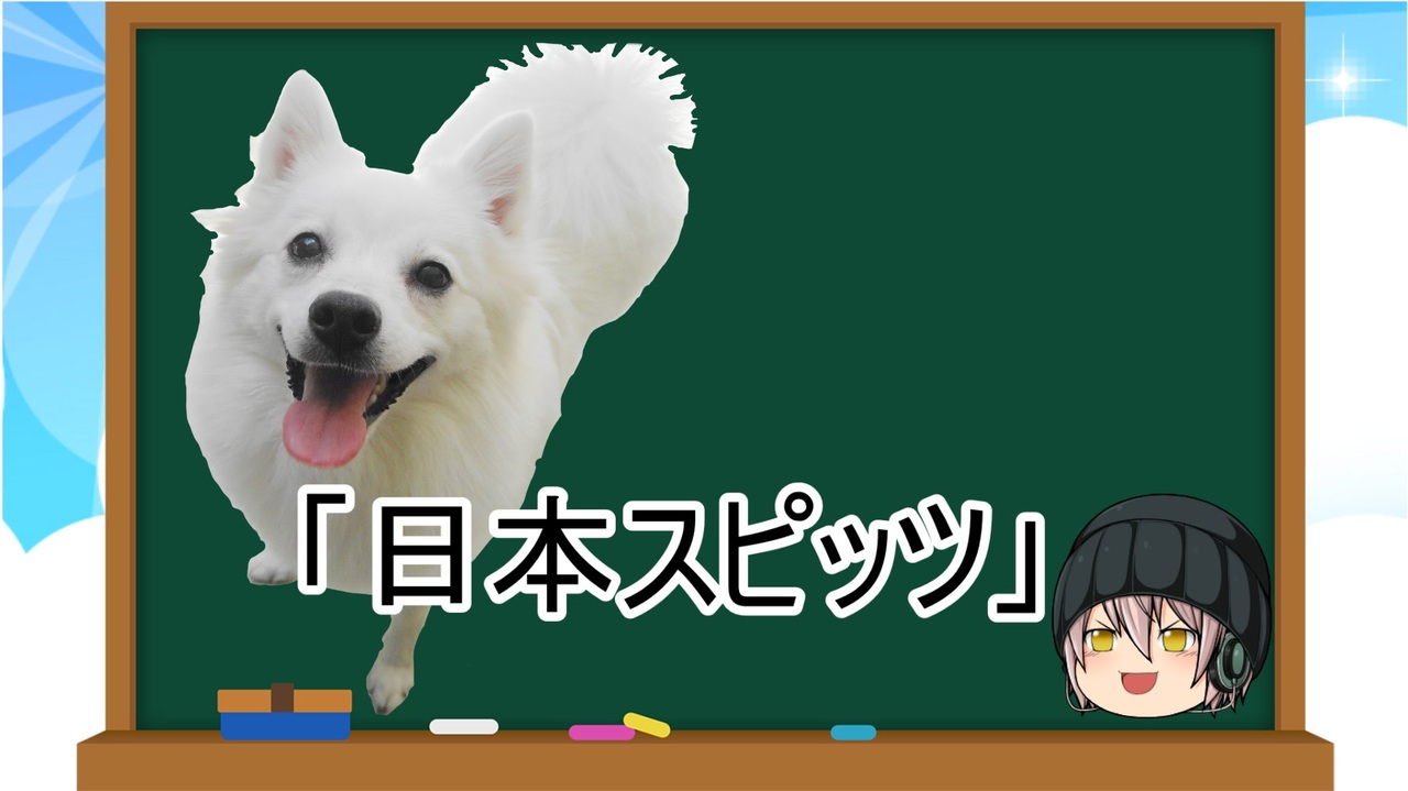 ゆっくり解説 犬種３０ 日本スピッツ ニコニコ動画