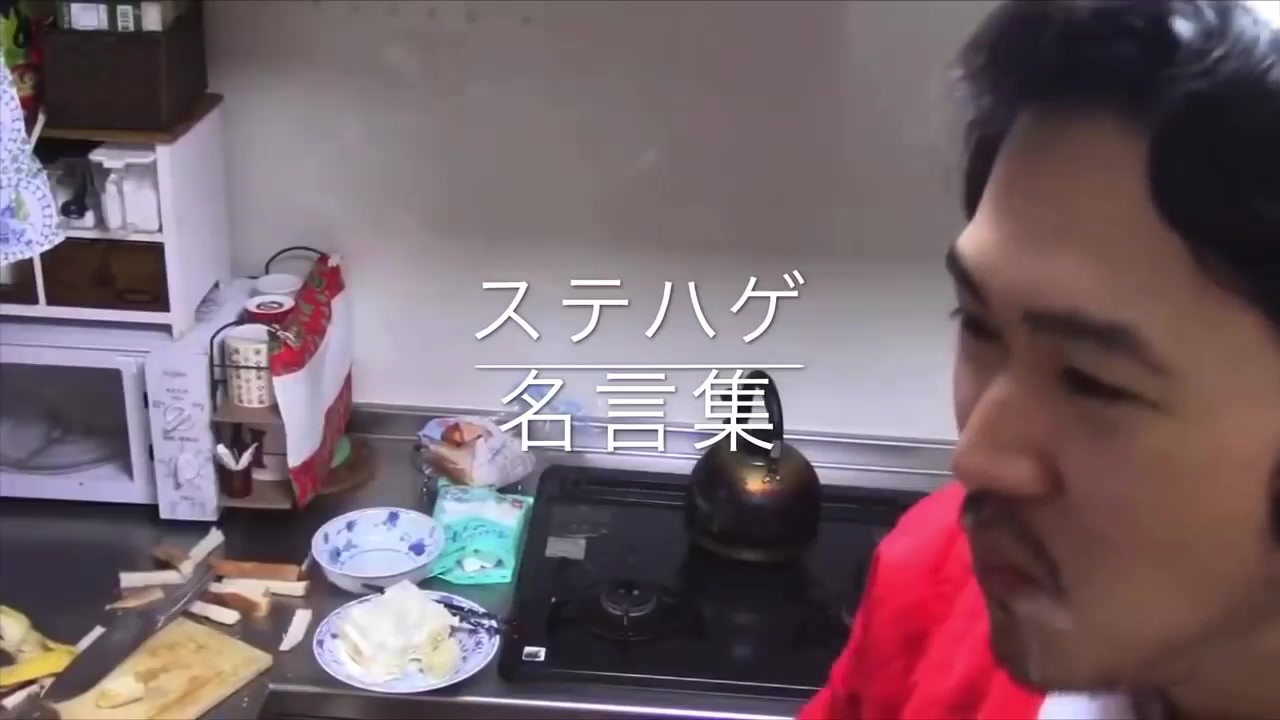 ステハゲ 名言集 ニコニコ動画