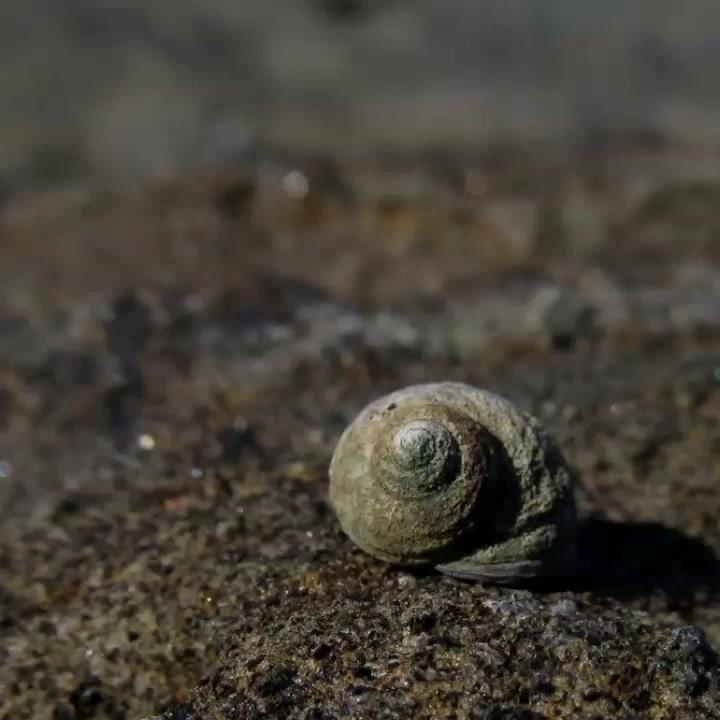 Positive Quotes For a Brighter Day - ニコニコ動画