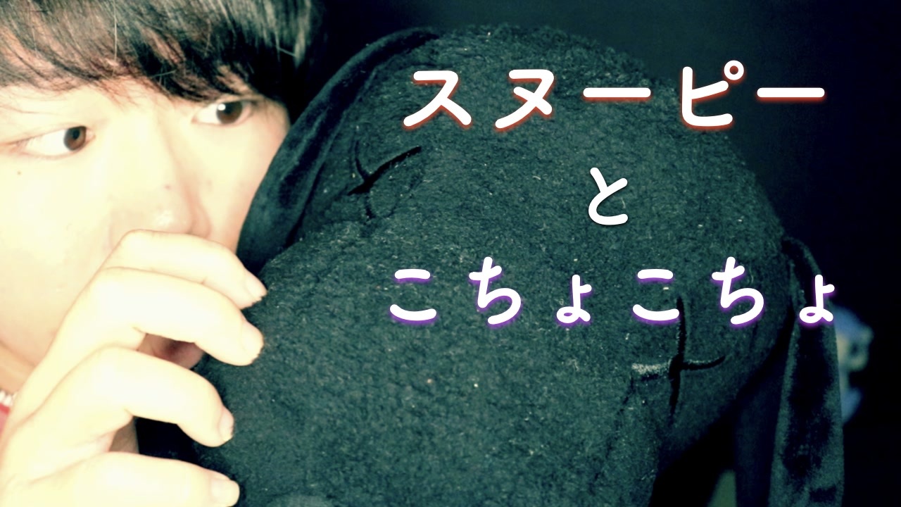 スヌーピーをこちょこちょくすぐる Okano S Asmr ニコニコ動画