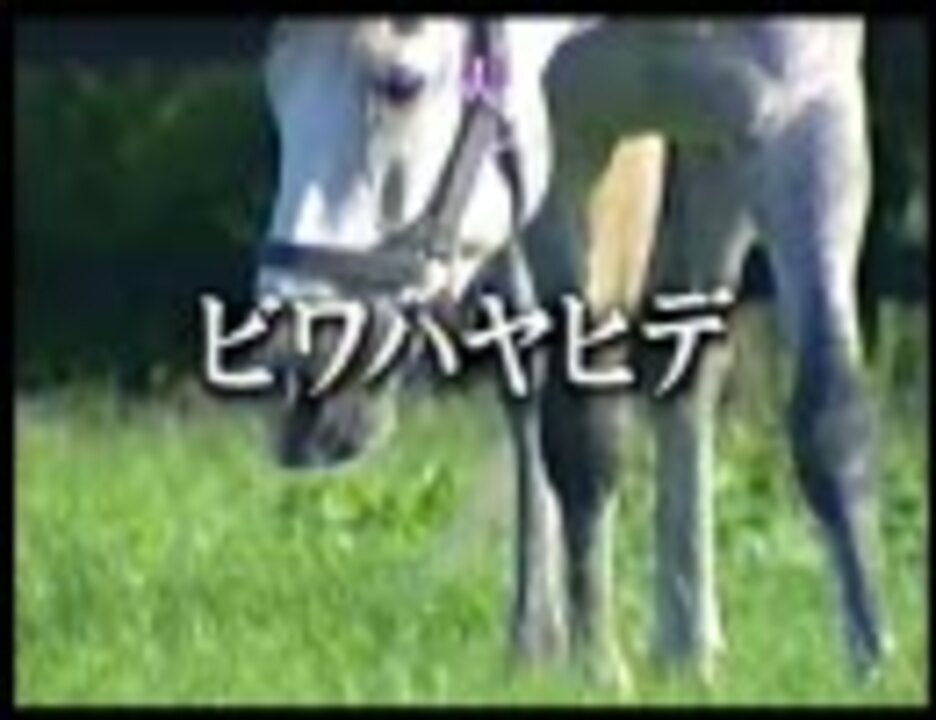競馬 名馬物語２ ビワハヤヒデ 1 3 ニコニコ動画
