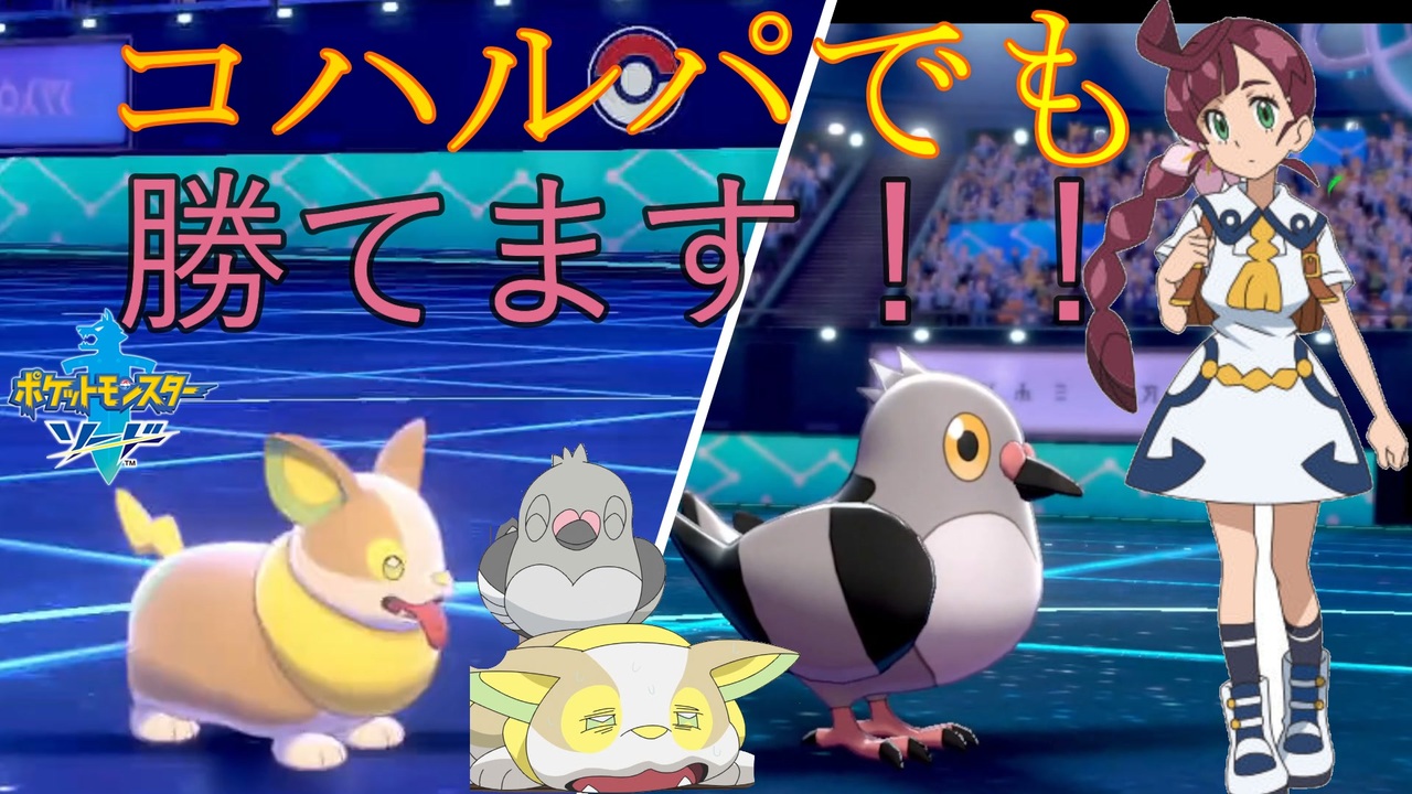 アニポケ かわいすぎる コハル のポケモン たち ワンパチ マメパト がまさかのランクマ で大活躍 Wwww ポケモン剣盾 ニコニコ動画