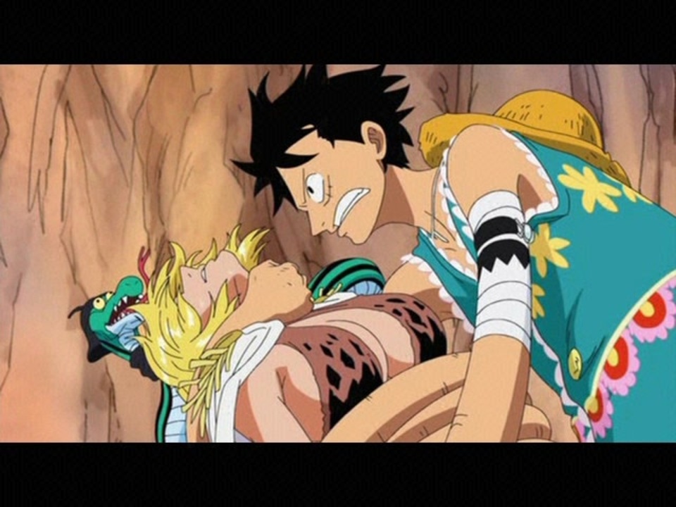 ワンピース 女ヶ島編 全14件 Dアニメストア ニコニコ支店のシリーズ ニコニコ動画