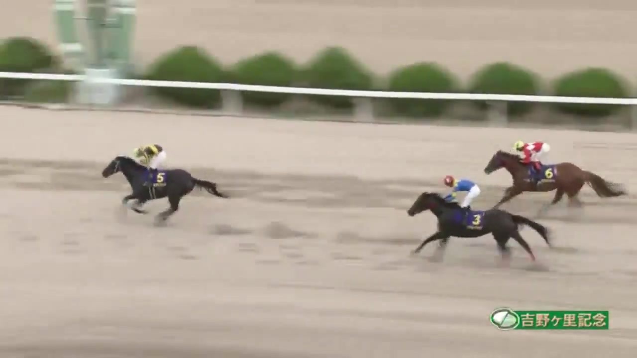 人気の トーセンブライト産駒 動画 11本 ニコニコ動画