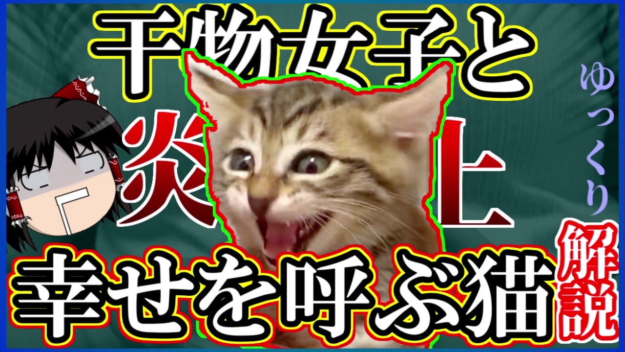 ゆっくり解説 動物保護系youtuberの炎上と闇を解説 干物女子と幸せを呼ぶ猫 ニコニコ動画