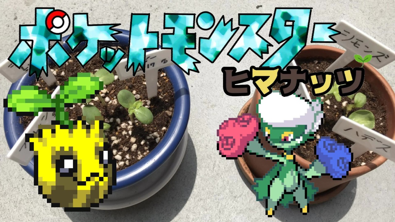 ポケットモンスターヒマナッツ 全28件 マサさんのシリーズ ニコニコ動画