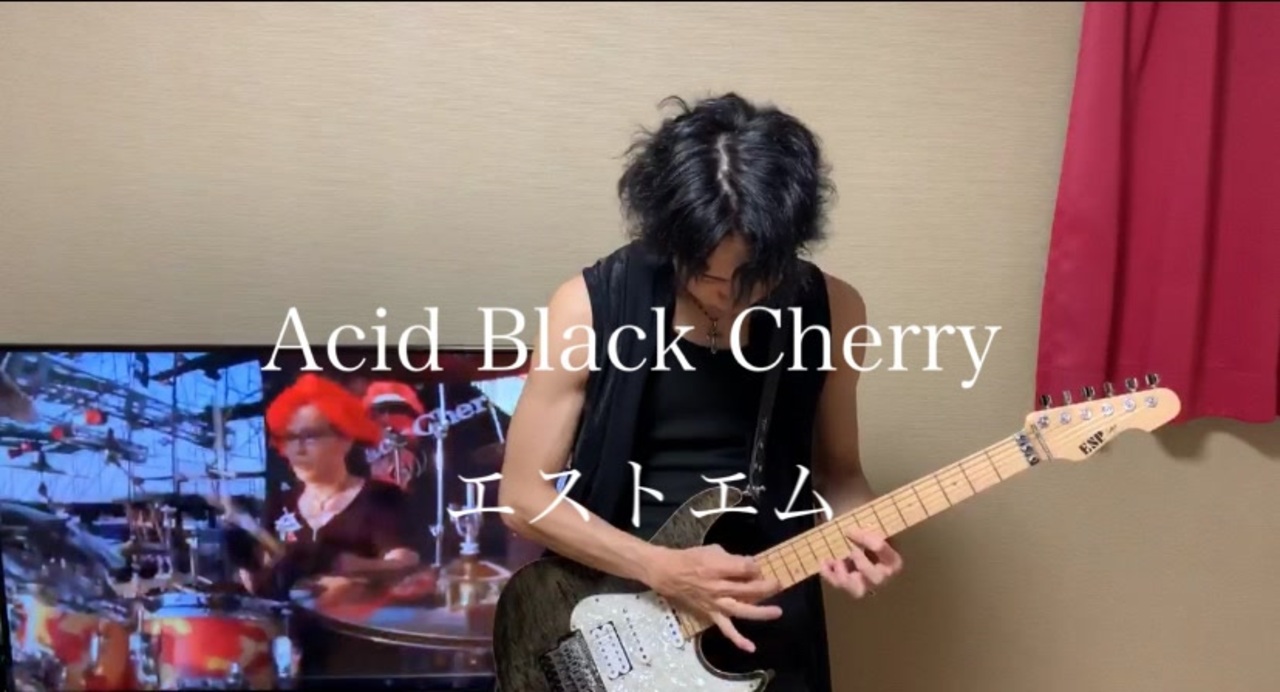 Acid Black Cherry 蝶 ギター